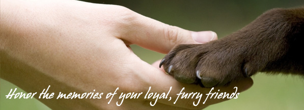 pet memorial: simple to create, remember pet anywhere